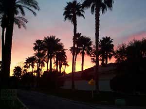 Sunrise with Palm Trees