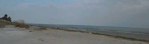 beach2_web.jpg