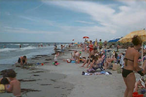 beach_web.jpg