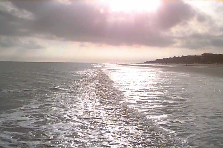 ocean_web.jpg